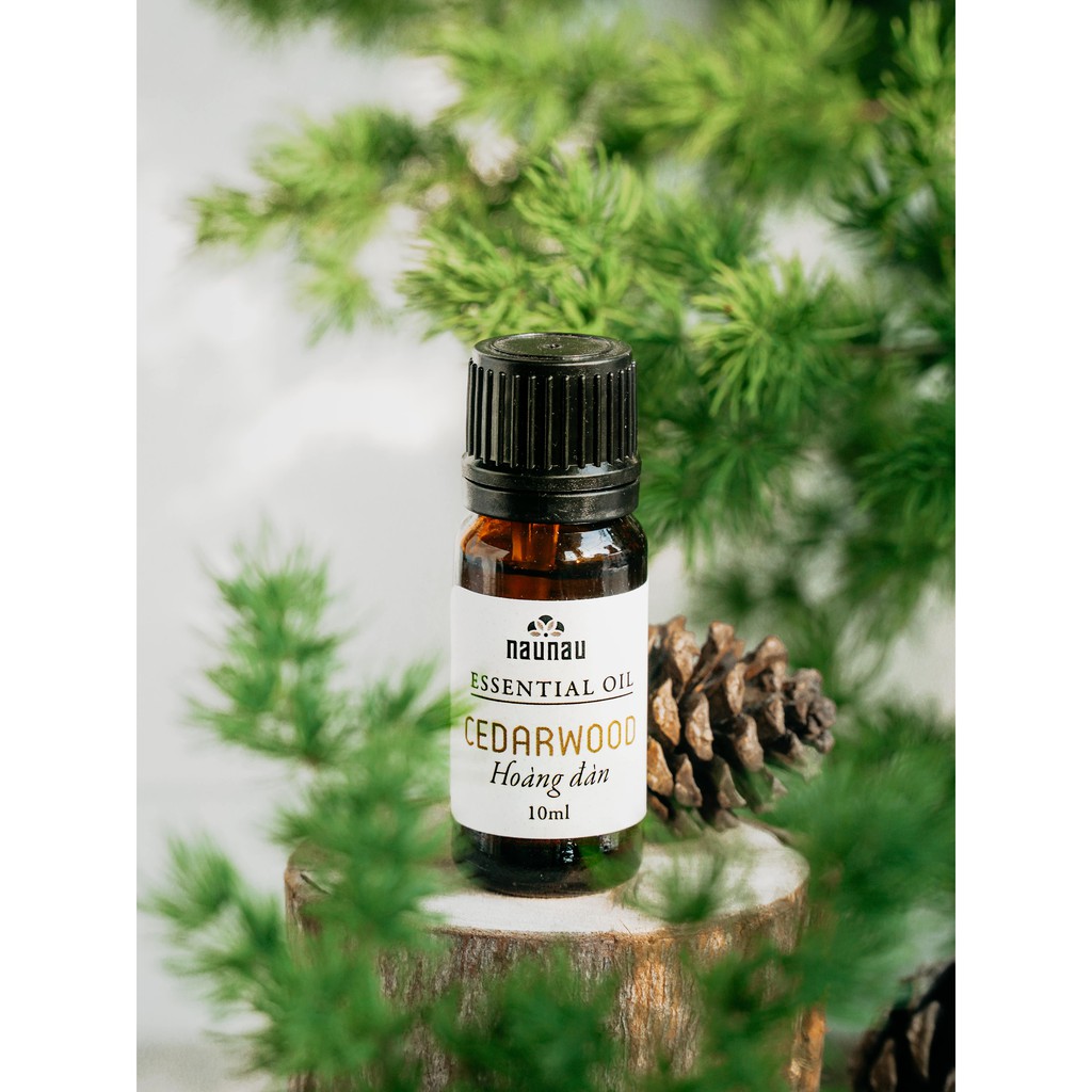 3294760878.jpg 3294760878.jpg