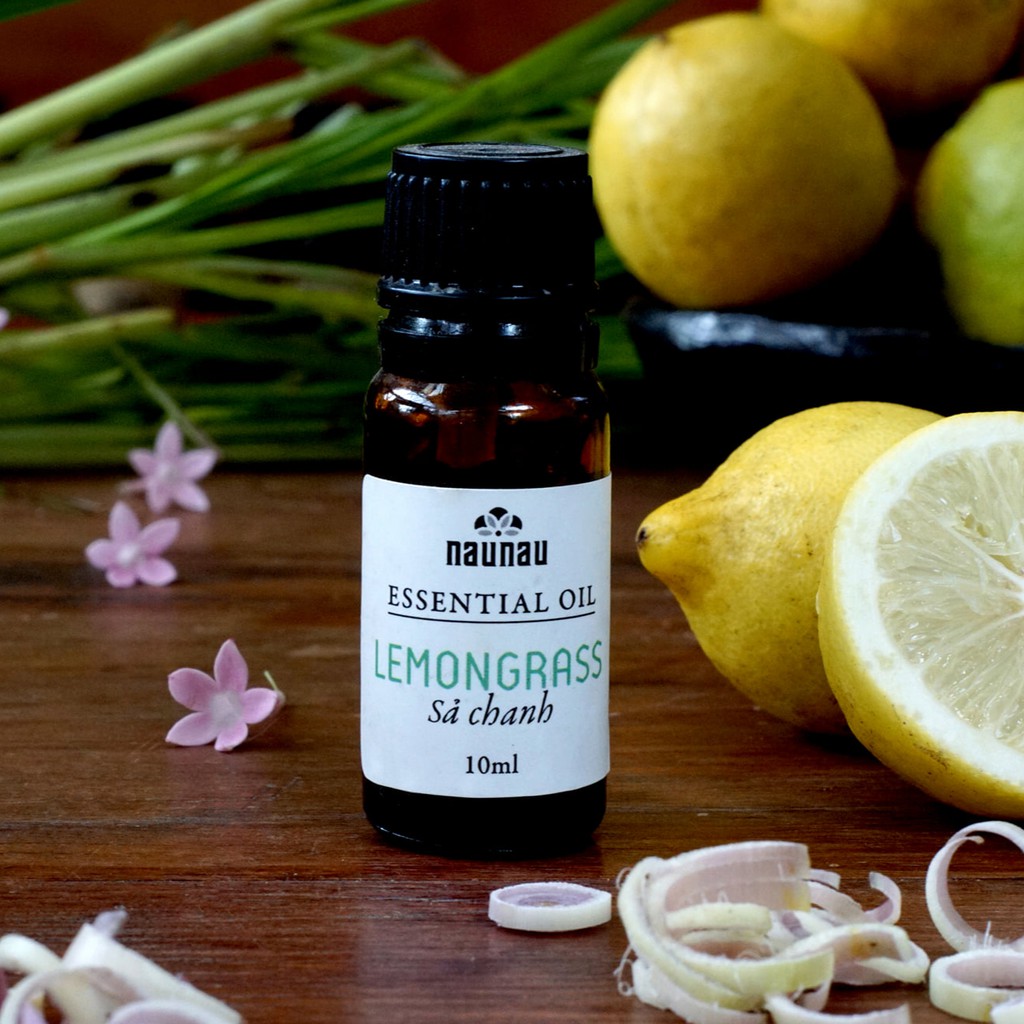 5280582497.jpg 5280582497.jpg